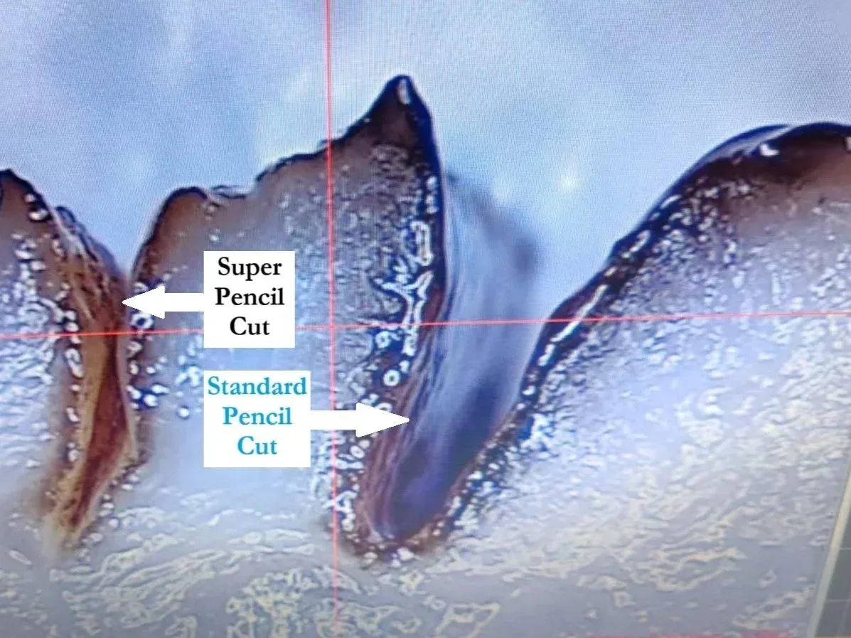 Histology of pig skin tissue comparing a Super Pencil cut with a standard pencil cut